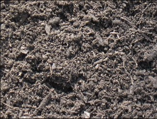unscreened top soil